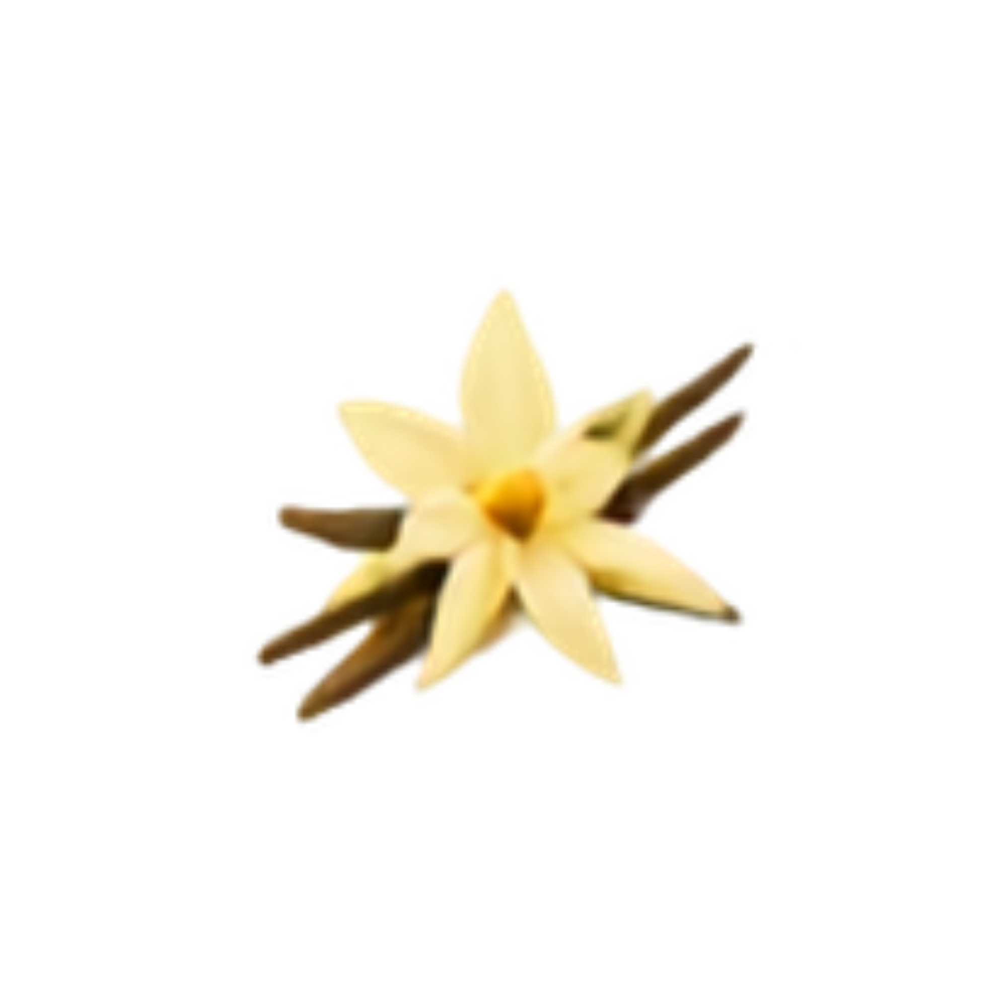 Pure Vanilla